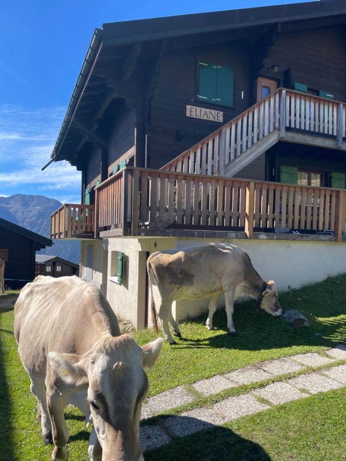 Ferienwohnung Eliane Bettmeralp Exterior foto